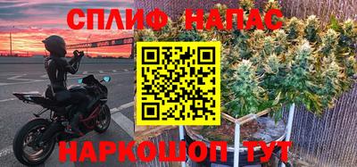 сатива Балахна