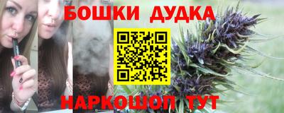 сатива Балахна